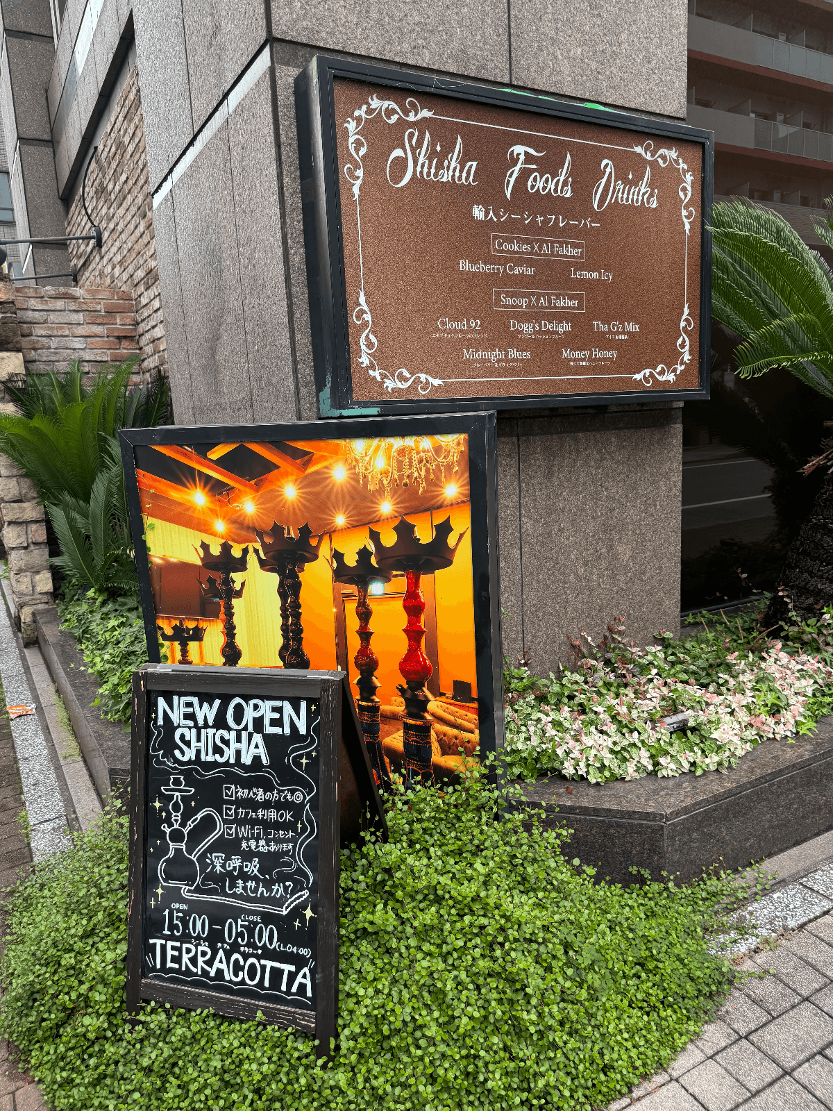 Terracotta Shisha Cafe のレビュー画像